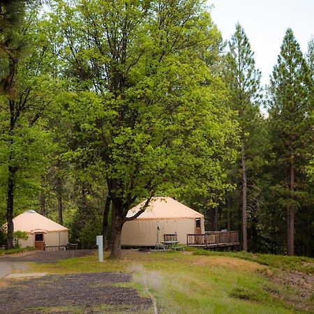 Yosemite Lakes Hillside Yurt 14 Harden Flat Exterior photo