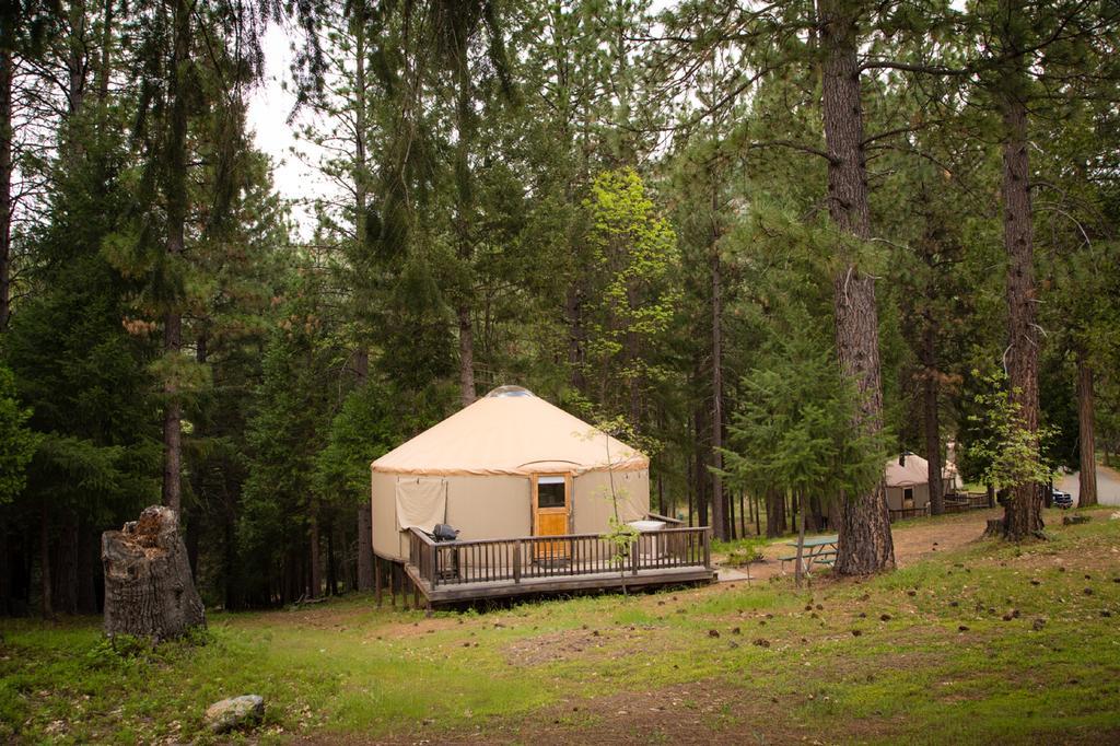 Yosemite Lakes Hillside Yurt 14 Harden Flat Exterior photo