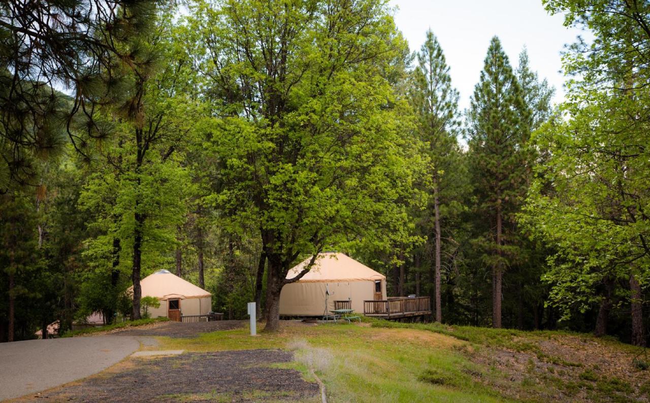 Yosemite Lakes Hillside Yurt 14 Harden Flat Exterior photo
